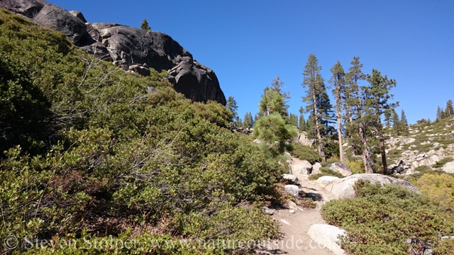 PCT near Flora Lake