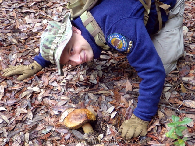 docent and boletus mushroom