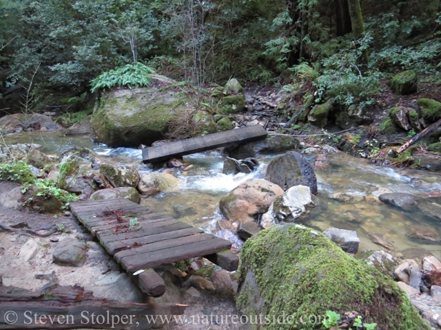 washed out hiking bridge berry creek falls
