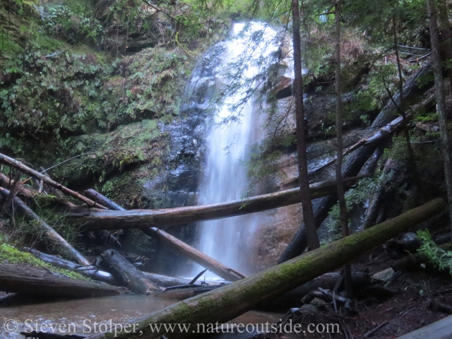 Silver falls big basin redwood state park