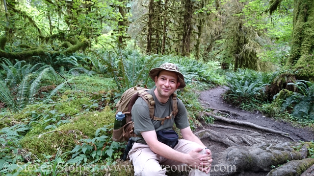 hiker sitting on tree root in Hoh Rain Forest