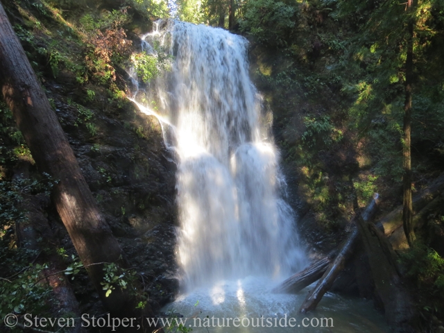 Berry Creek Falls