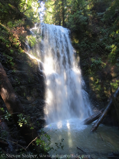 Berry Creek Falls