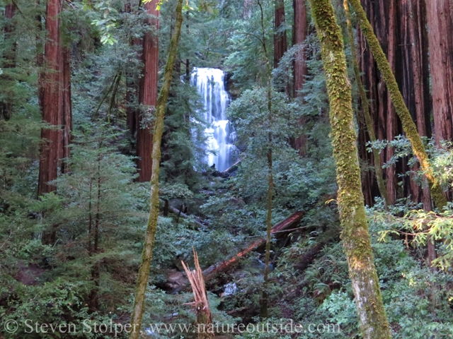 Berry Creek Falls