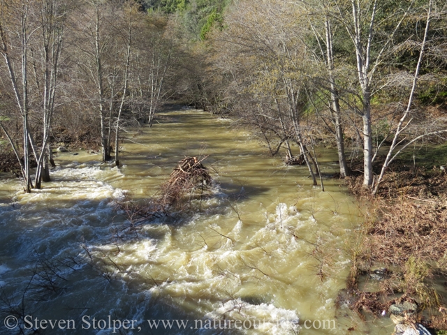 Alameda Creek in Sunol Regional Wilderness