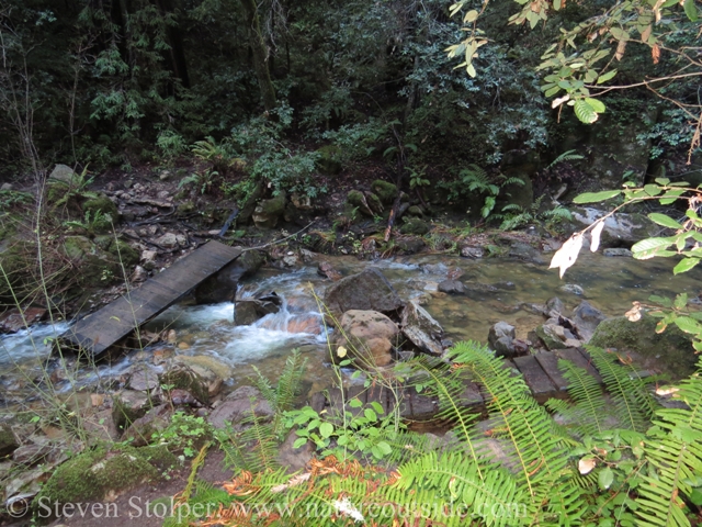 washed out hiking foot bridge Berry Creek Falls