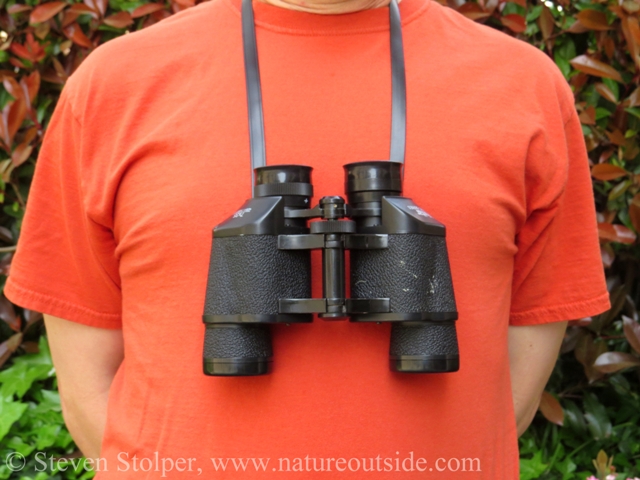 Person wearing Porro prism binoculars around neck
