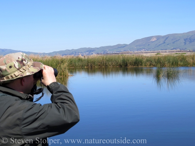 Person looking through binoculars in saltwater marsh