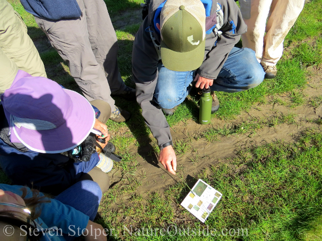 group of trackers comparing animal tracks to a field guide