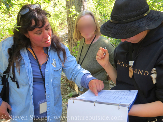 Cat Taylor oversees volunteer recording data.