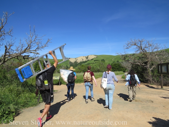 Naturalists hiking with stepladder and bag of wood shavings