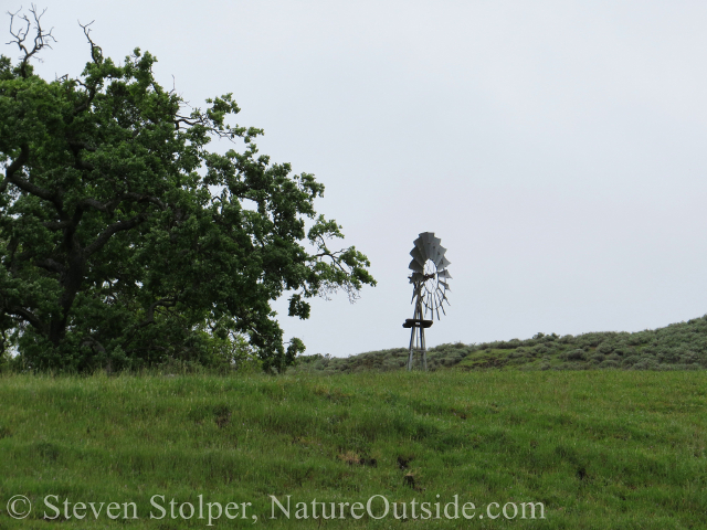 JB Ranch windmill Sunol Regional Wilderness