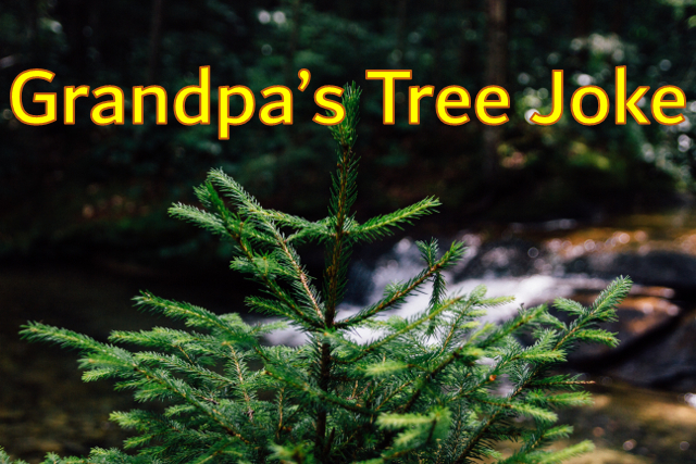 pine tree, river, article title