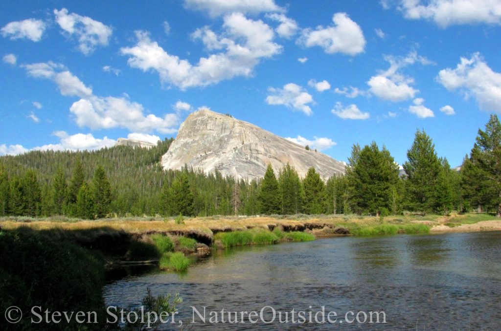 Lembert Dome as seen from Tuolumne Meadows