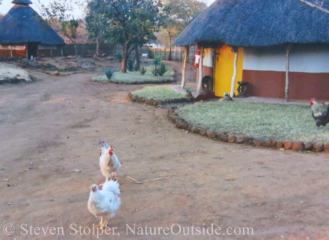 Songwe Point village, Zambia