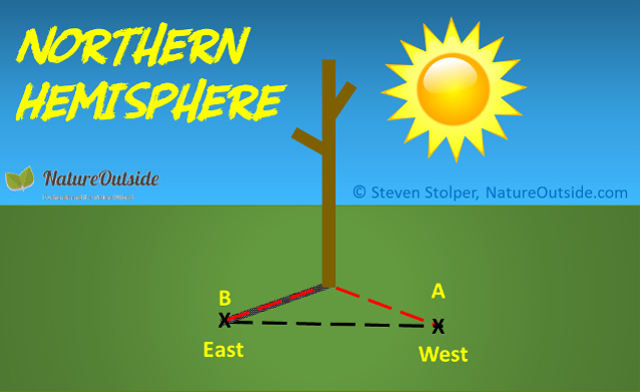 Infographic Using a stick and the Sun to find North in Northern Hemisphere.