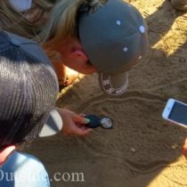 trackers examine great horned owl tracks