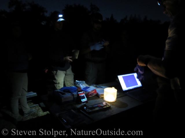 bat detector and equipment at night