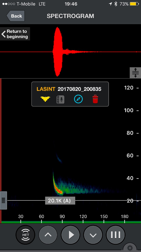 Bat detector screen-shot