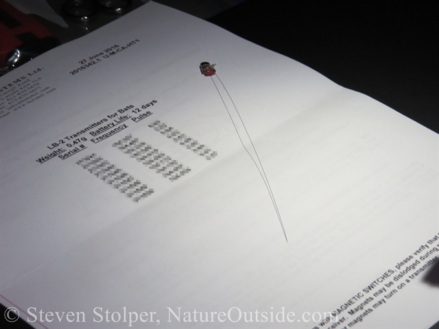 Bat transmitter, on paper for scale