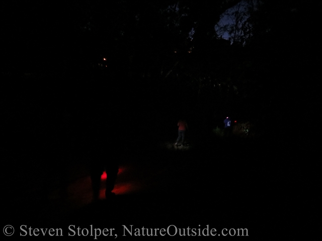 Hiking to the creek at night