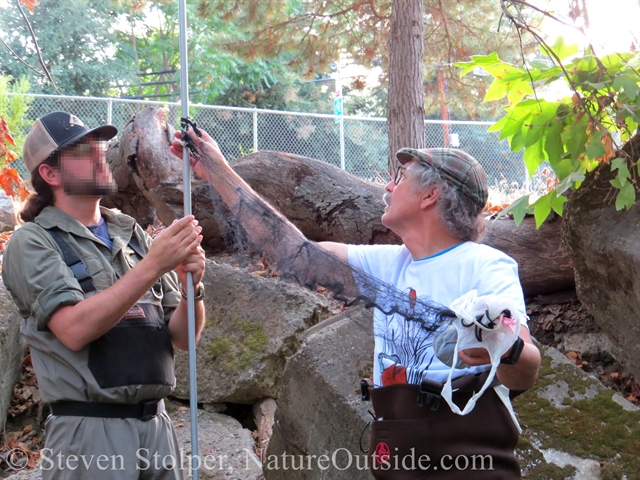 Dave and a student attach the monofilament netting to a pole.