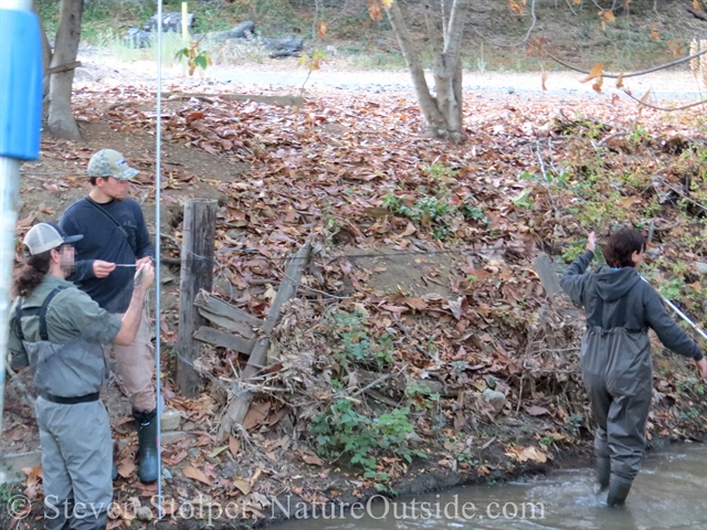 Walking the net downstream