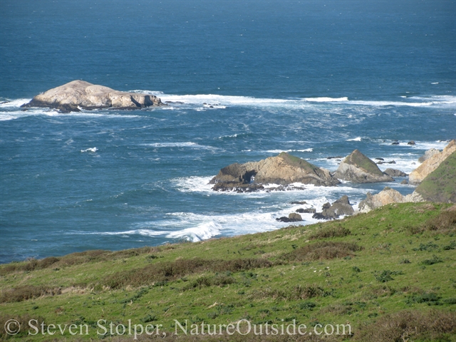 view from tomales point