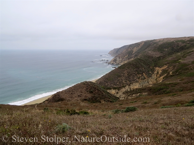 view from tomales point