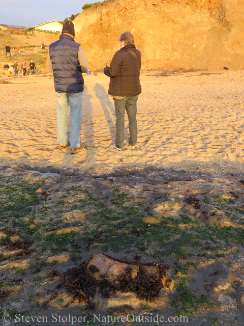 people standing near fossil whale bone