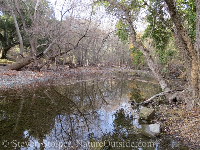 Alameda Creek Sunol Regional Wilderness