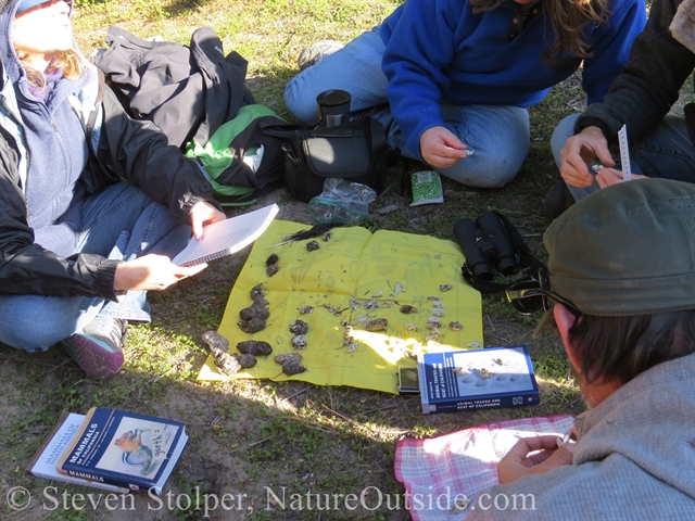 trackers examining animal skulls, bones, and pellets