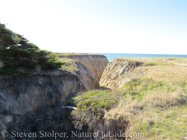 cliffs over Pacific Ocean