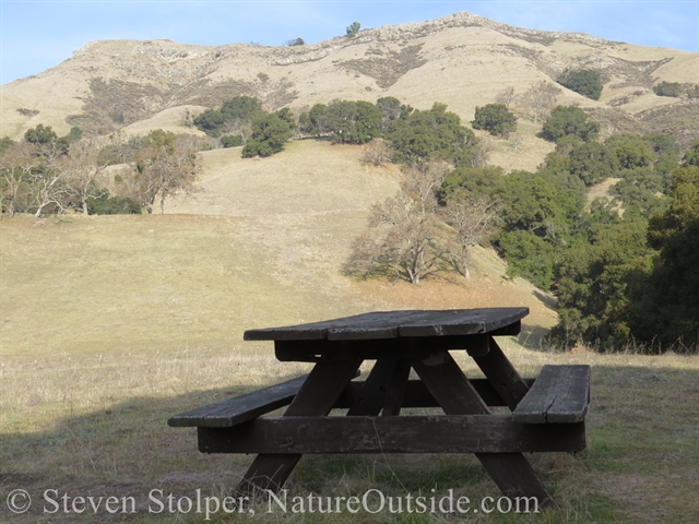 picnic table shady glen sunol regional wilderness