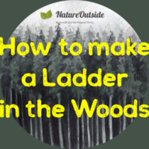 how to make a ladder in the woods