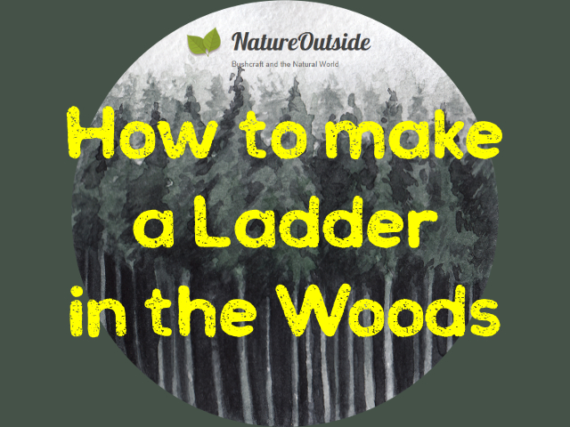 how to make a ladder in the woods