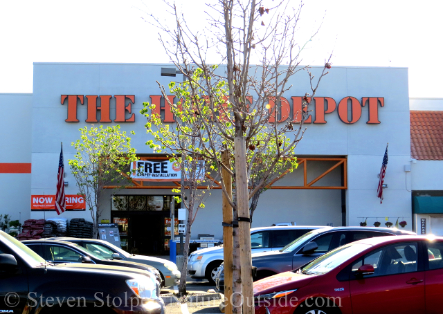 home depot obscured by trees