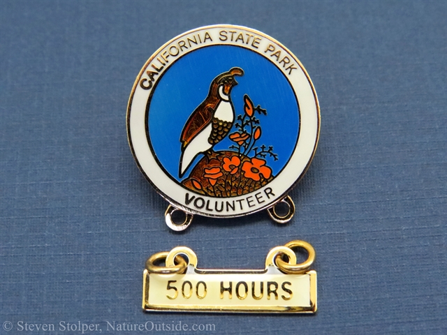 California State Parks 100 hour service pin with 500 hour bar
