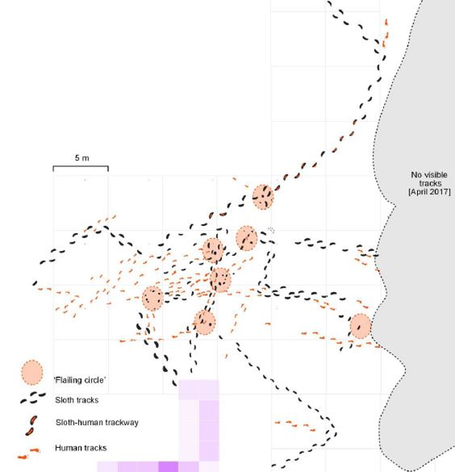 map of human and giant sloth tracks