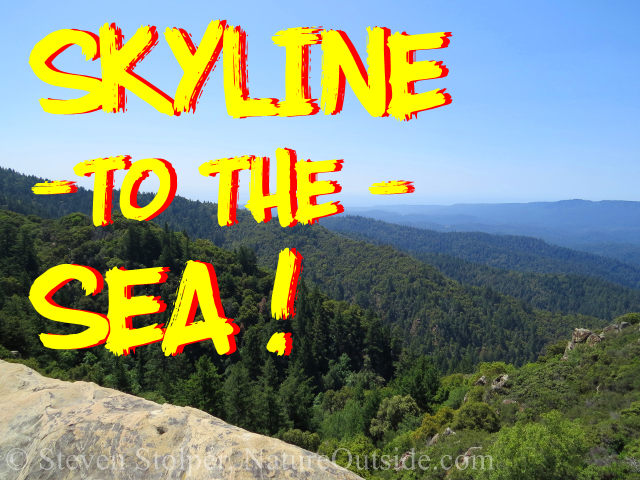 Skyline to the Sea title