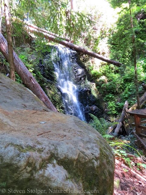 berry creek falls