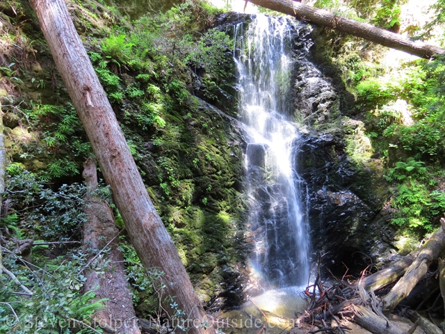 berry creek falls