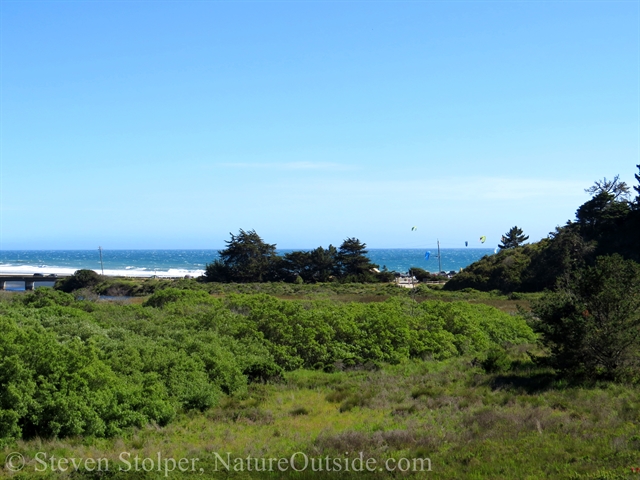 waddell state beach