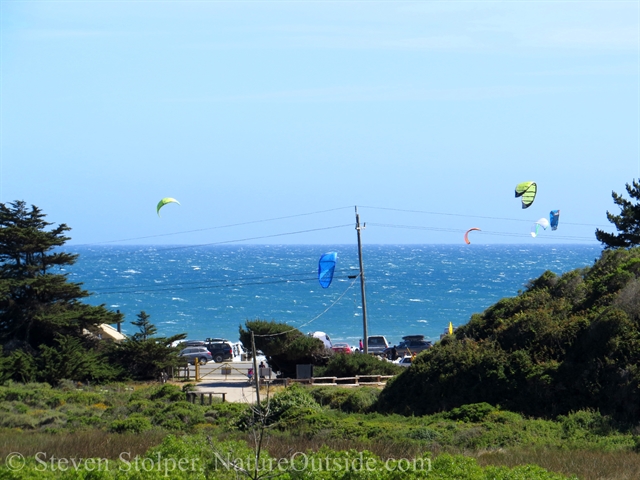 waddell state beach