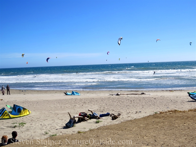 waddell state beach