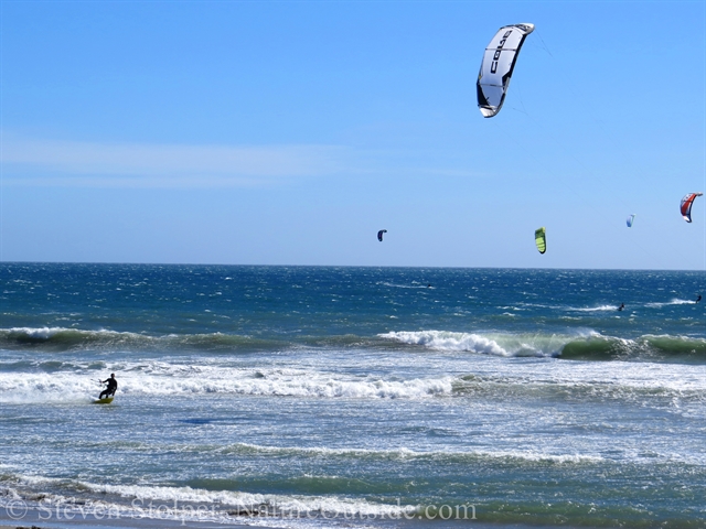 waddell state beach