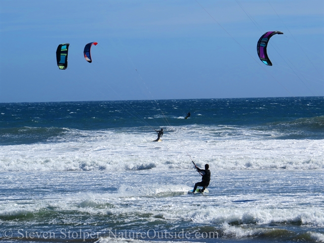 waddell state beach