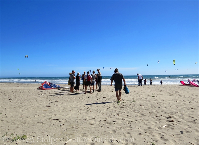 waddell state beach