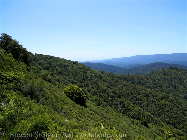 The ridge we are hiking on