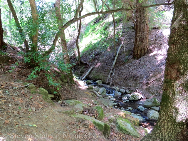 The headwaters of the San Lorenzo